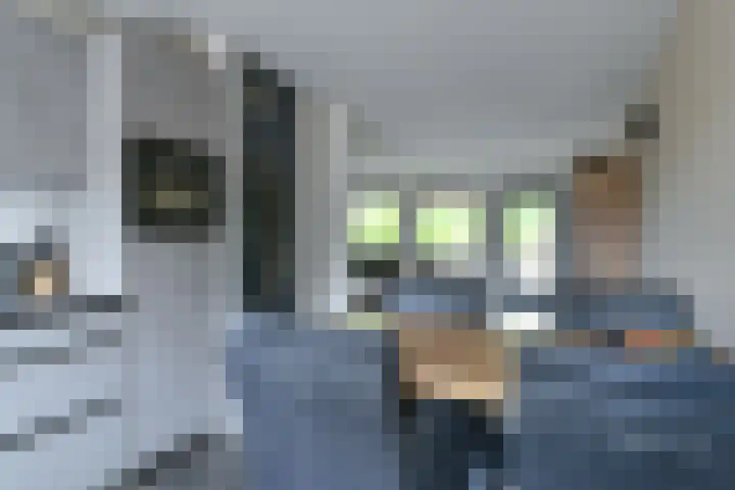 Pimpelmees 16 Emmen thumbnail 18