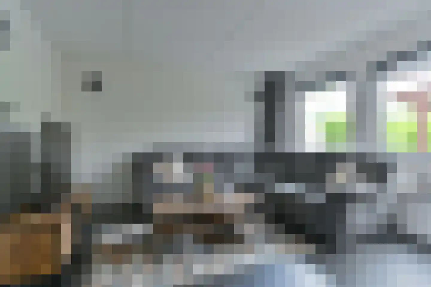 Pimpelmees 16 Emmen thumbnail 21