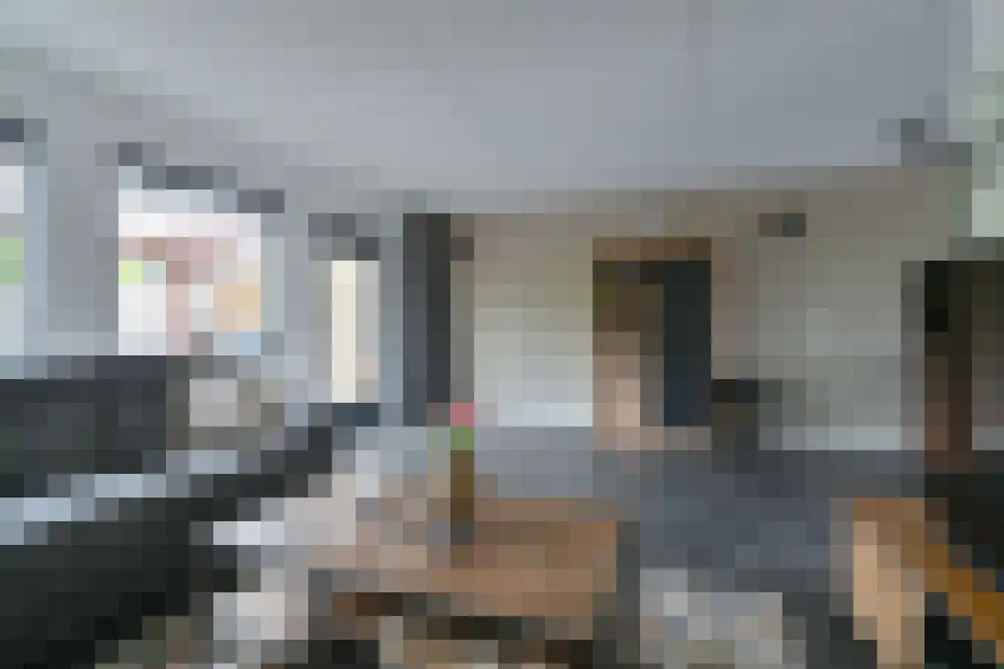 Pimpelmees 16 Emmen thumbnail 23
