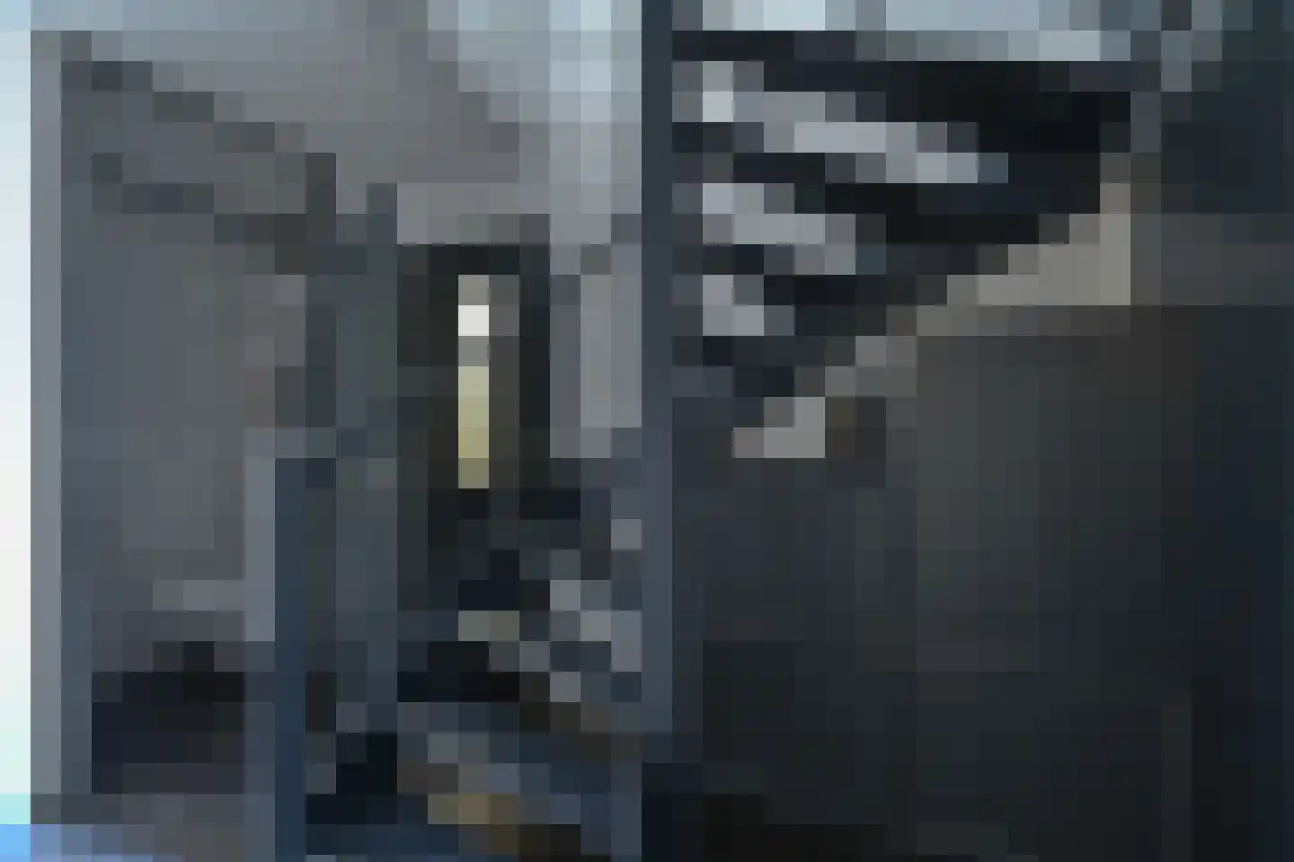 Pimpelmees 16 Emmen thumbnail 26