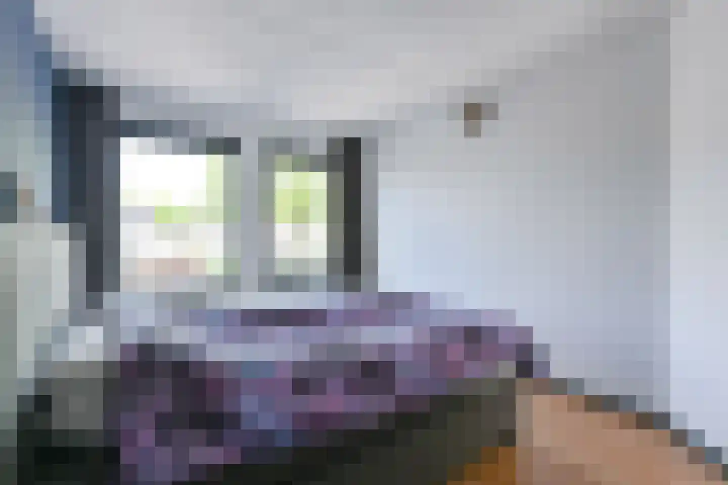 Pimpelmees 16 Emmen thumbnail 31