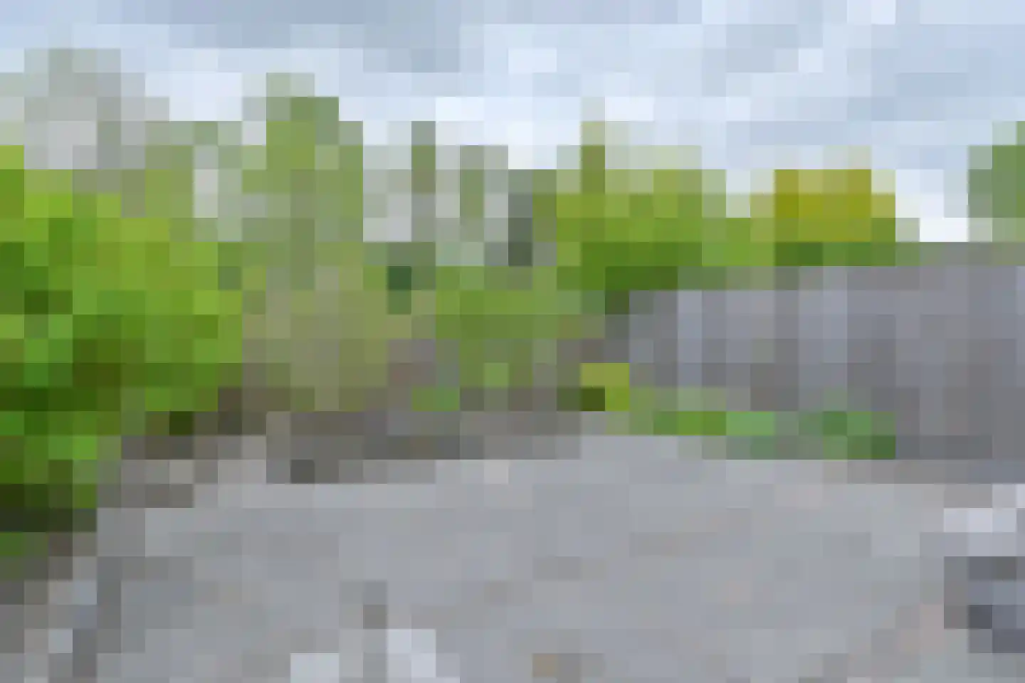Pimpelmees 16 Emmen thumbnail 55