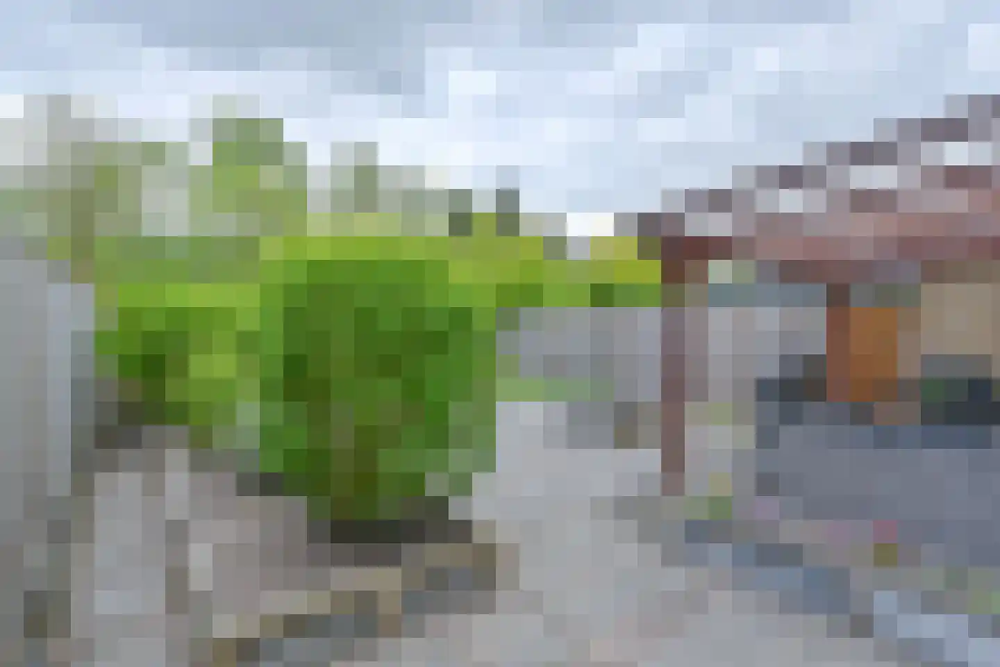 Pimpelmees 16 Emmen thumbnail 56