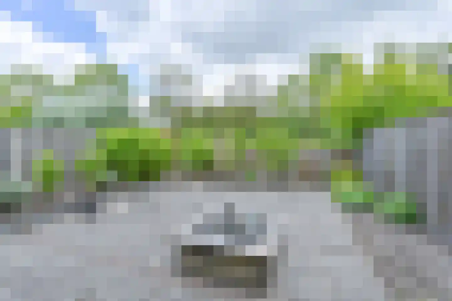 Pimpelmees 16 Emmen thumbnail 57