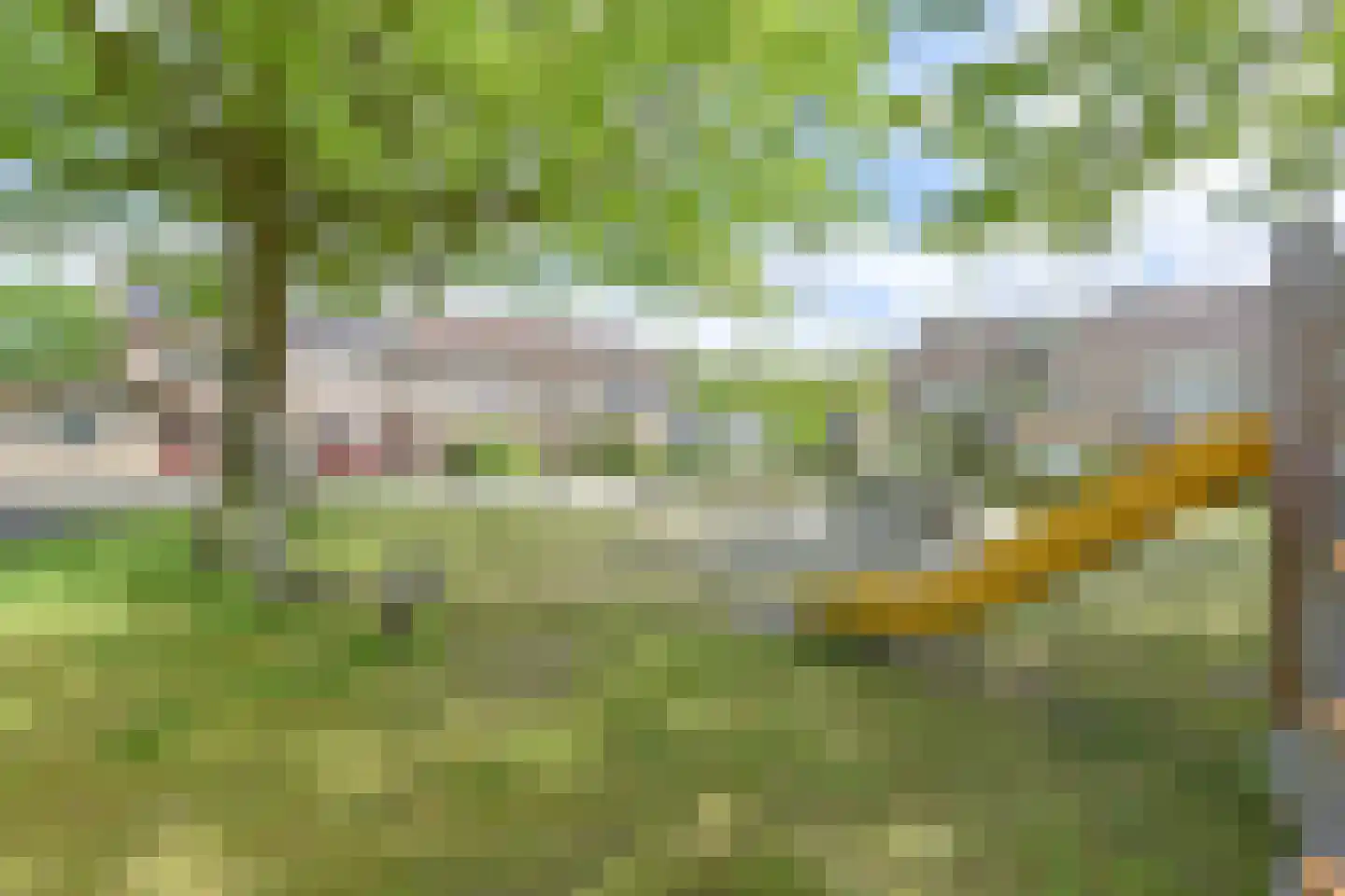 Pimpelmees 16 Emmen thumbnail 68