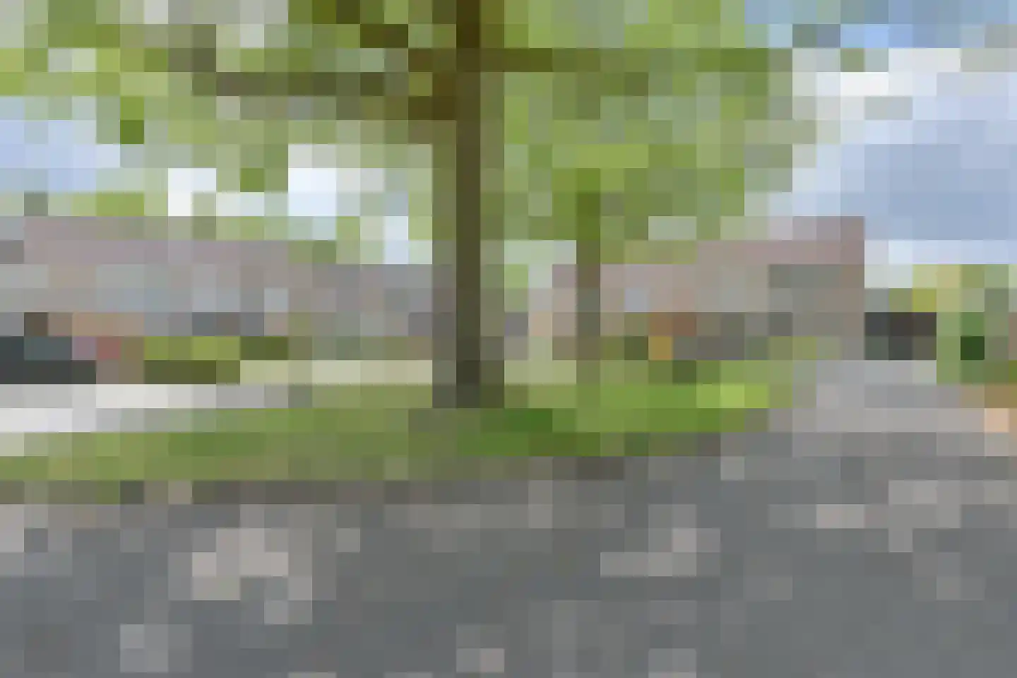 Pimpelmees 16 Emmen thumbnail 69