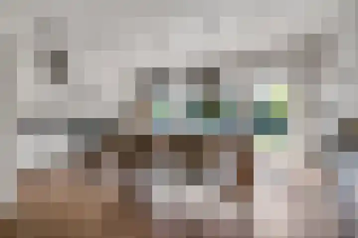 Pimpelmees 20 Rhenen thumbnail 11