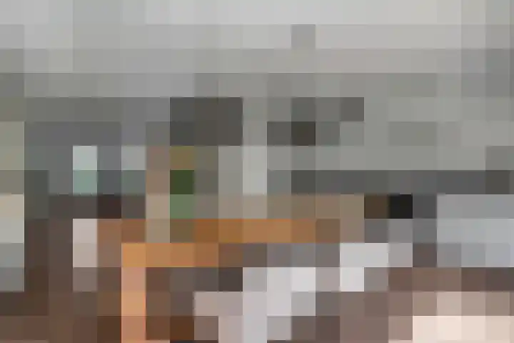 Pimpelmees 20 Rhenen thumbnail 14