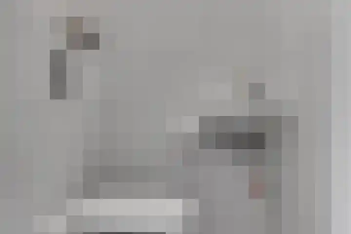 Pimpelmees 20 Rhenen thumbnail 15