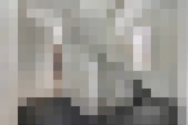 Pimpelmees 20 Rhenen thumbnail 16