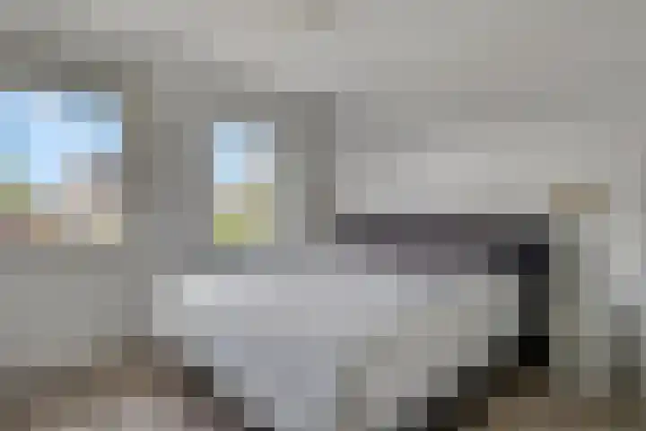 Pimpelmees 20 Rhenen thumbnail 17