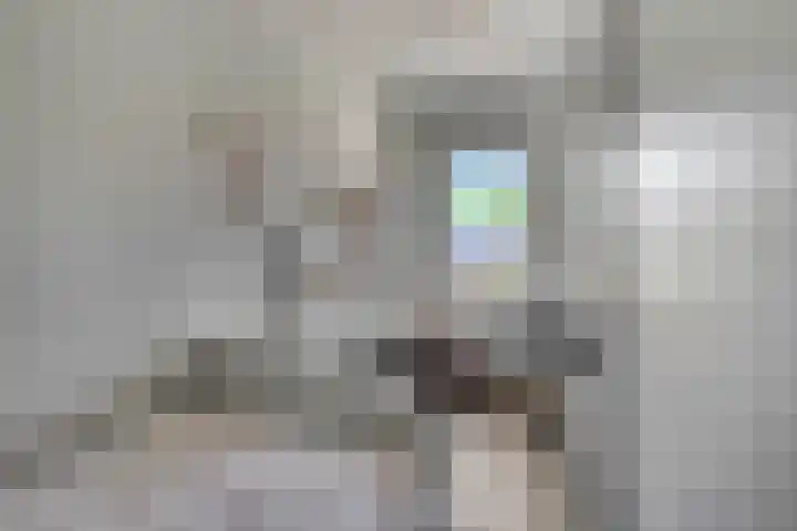 Pimpelmees 20 Rhenen thumbnail 21