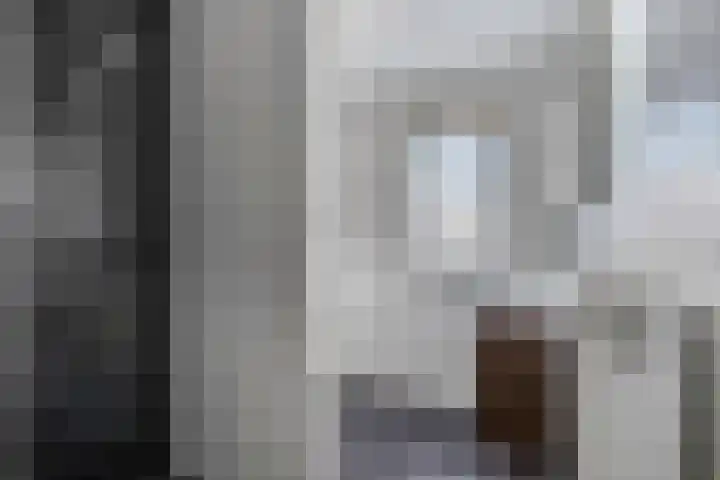 Pimpelmees 20 Rhenen thumbnail 23