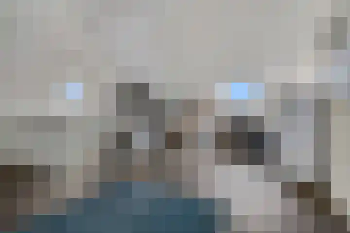 Pimpelmees 20 Rhenen thumbnail 26