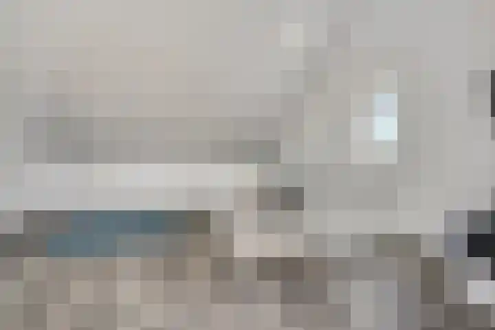 Pimpelmees 20 Rhenen thumbnail 27