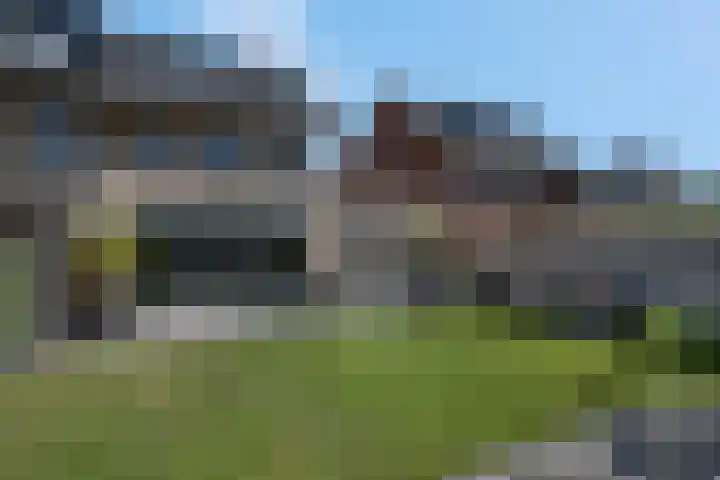 Pimpelmees 20 Rhenen thumbnail 28