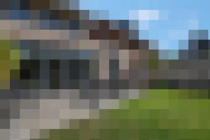 Pimpelmees 20 Rhenen thumbnail 29