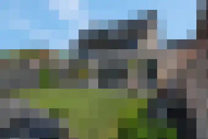 Pimpelmees 20 Rhenen thumbnail 30