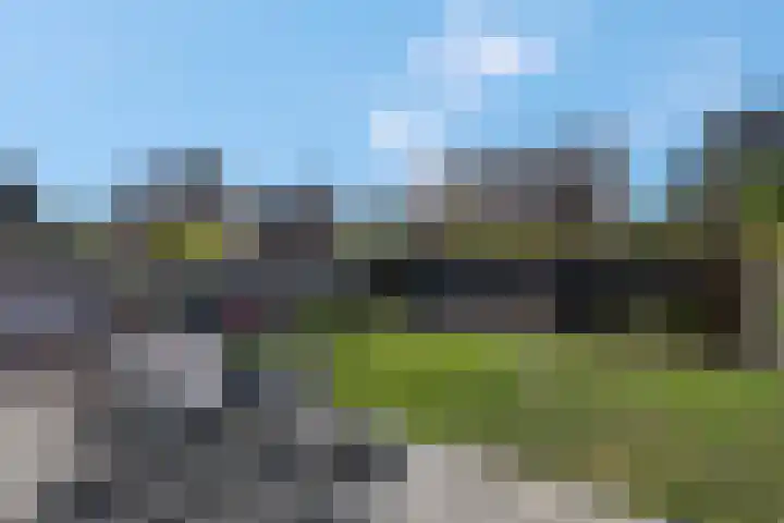 Pimpelmees 20 Rhenen thumbnail 31