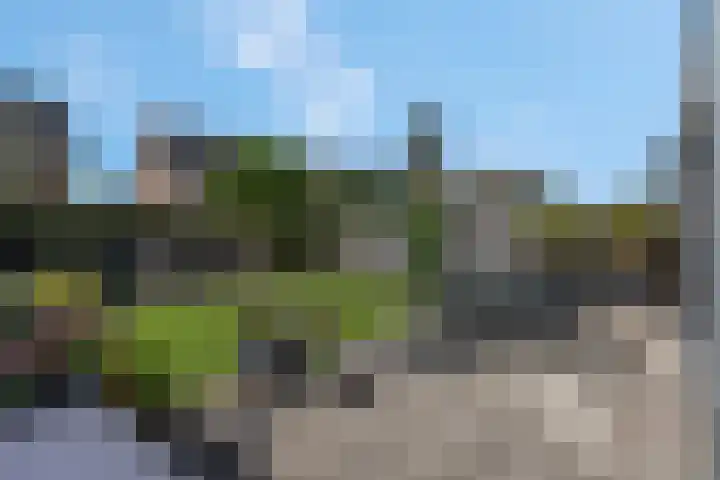 Pimpelmees 20 Rhenen thumbnail 32