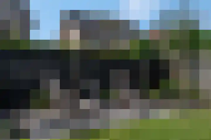 Pimpelmees 20 Rhenen thumbnail 33