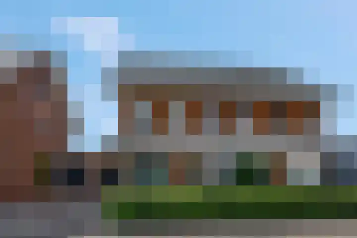 Pimpelmees 20 Rhenen thumbnail 34