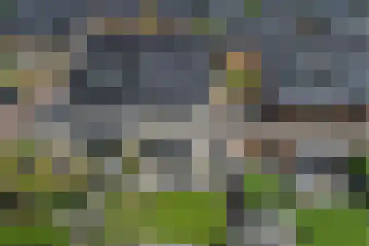 Pimpelmees 20 Rhenen thumbnail 35