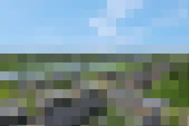 Pimpelmees 20 Rhenen thumbnail 4