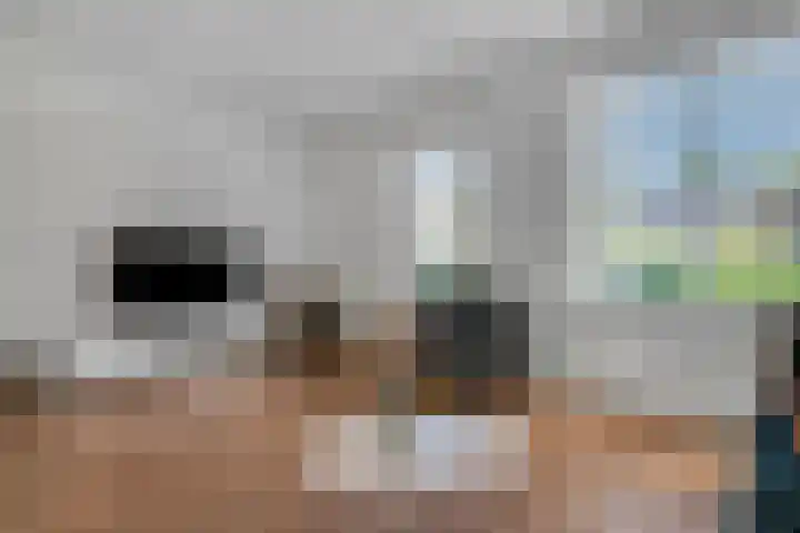 Pimpelmees 20 Rhenen thumbnail 8
