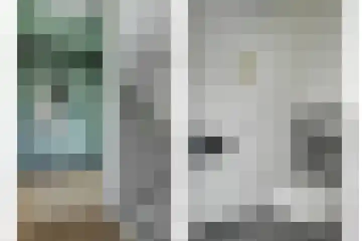 Pimpelmees 23 Hoogkarspel thumbnail 14