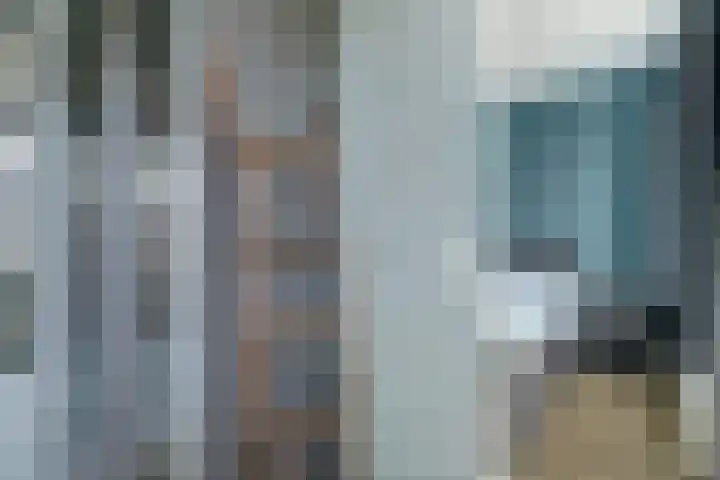 Pimpelmees 23 Hoogkarspel thumbnail 17