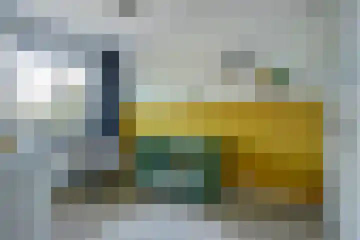 Pimpelmees 23 Hoogkarspel thumbnail 19