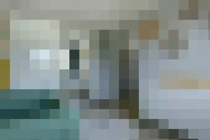 Pimpelmees 23 Hoogkarspel thumbnail 20
