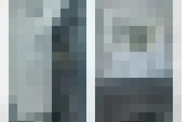 Pimpelmees 23 Hoogkarspel thumbnail 22