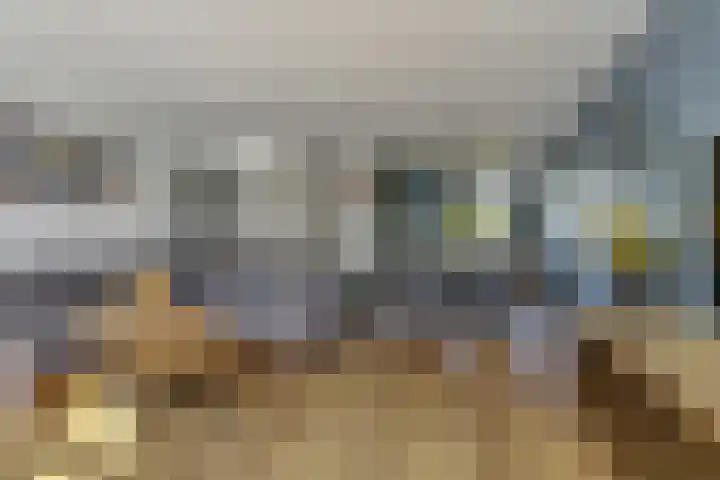 Pimpelmees 23 Hoogkarspel foto 3