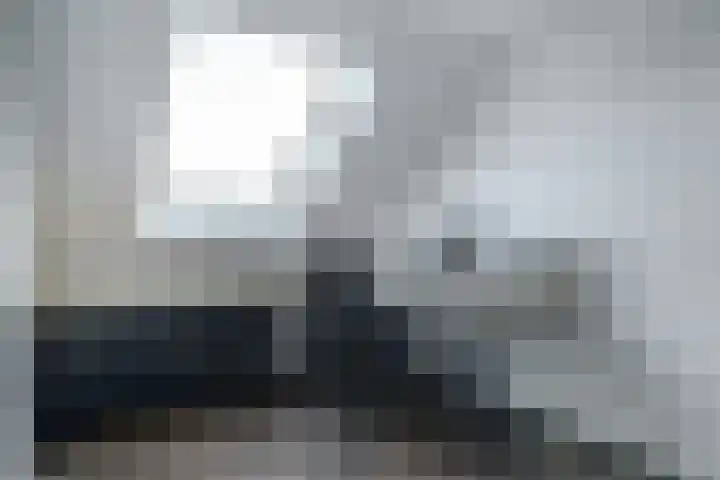 Pimpelmees 23 Hoogkarspel thumbnail 30