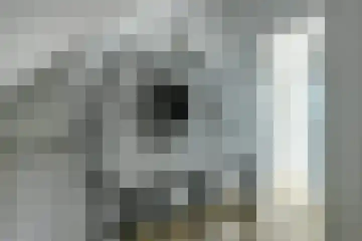Pimpelmees 23 Hoogkarspel thumbnail 31