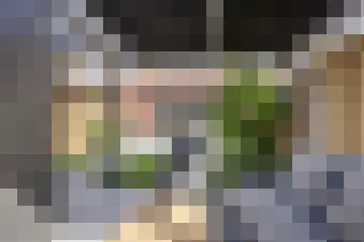 Pimpelmees 23 Hoogkarspel thumbnail 37