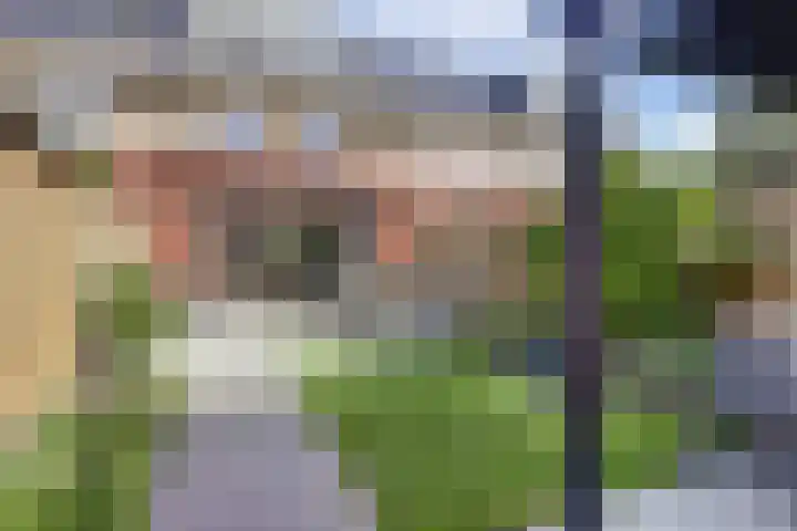 Pimpelmees 23 Hoogkarspel thumbnail 38