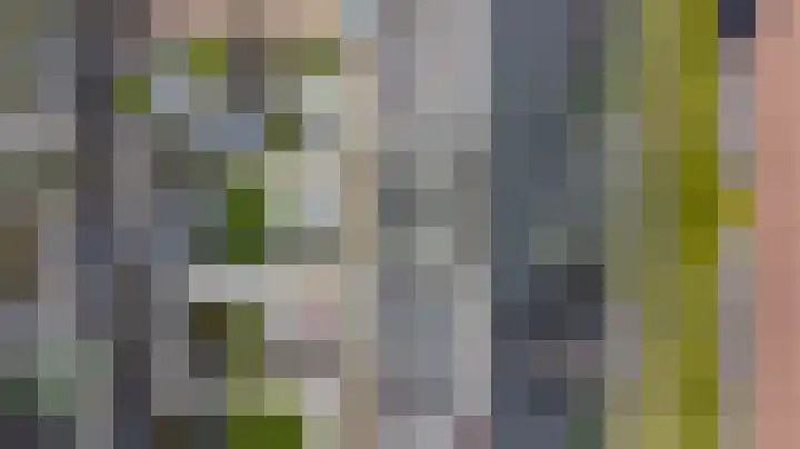 Pimpelmees 23 Hoogkarspel thumbnail 39