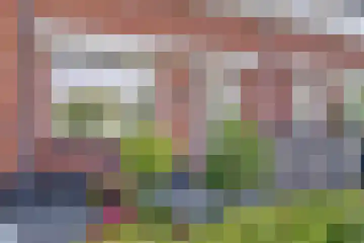 Pimpelmees 23 Hoogkarspel thumbnail 47