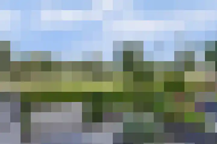 Pimpelmees 23 Hoogkarspel thumbnail 48