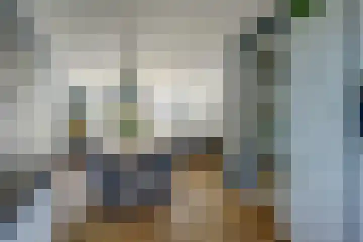 Pimpelmees 23 Hoogkarspel thumbnail 5