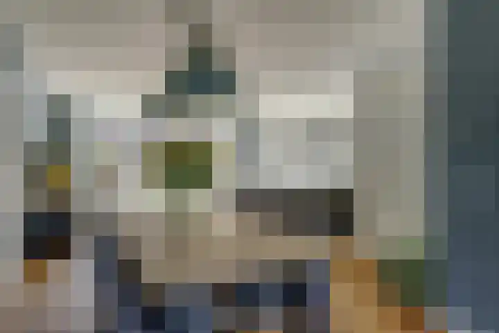 Pimpelmees 23 Hoogkarspel thumbnail 8