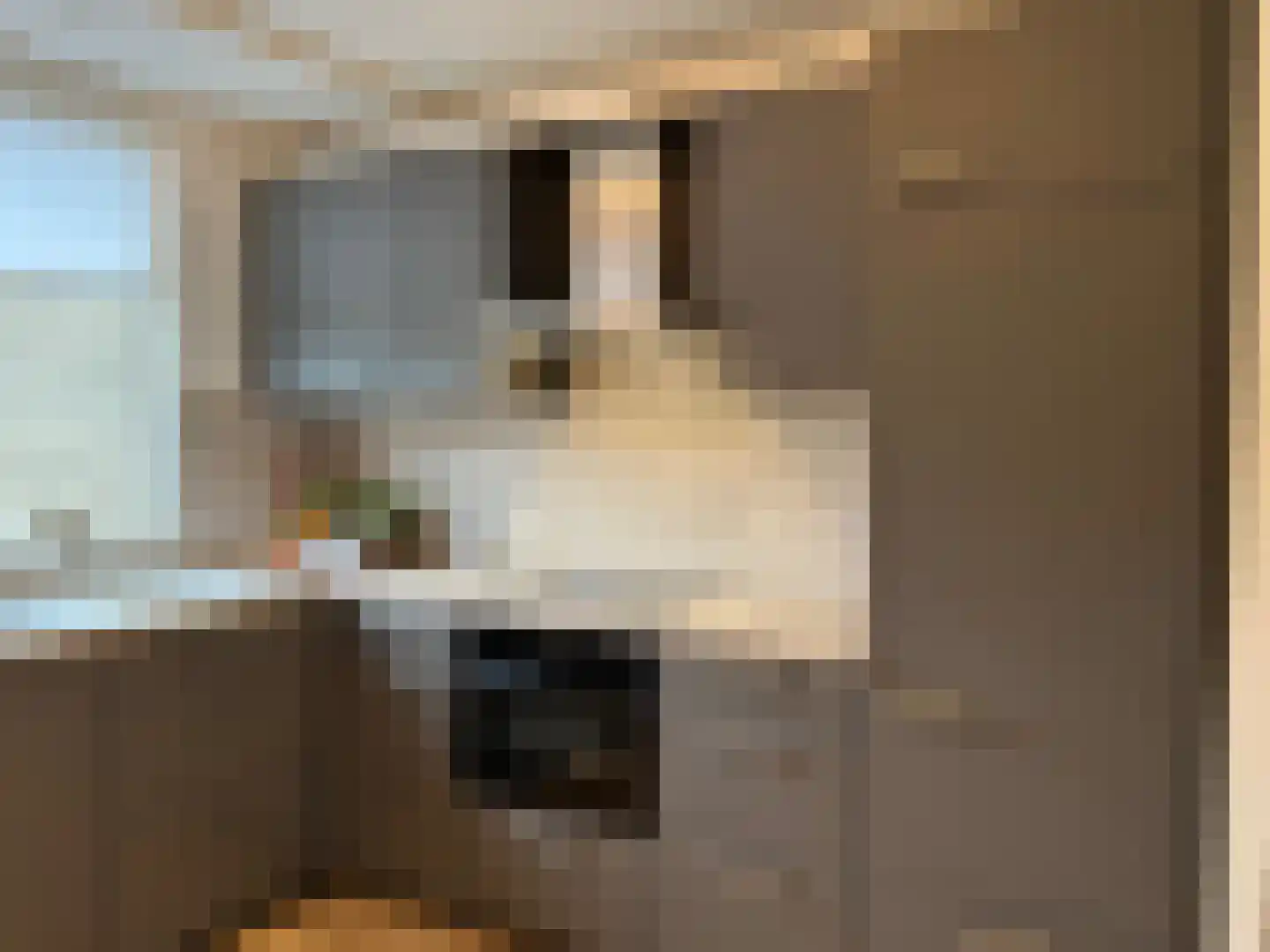 Pimpelmees 24 Emmen thumbnail 11
