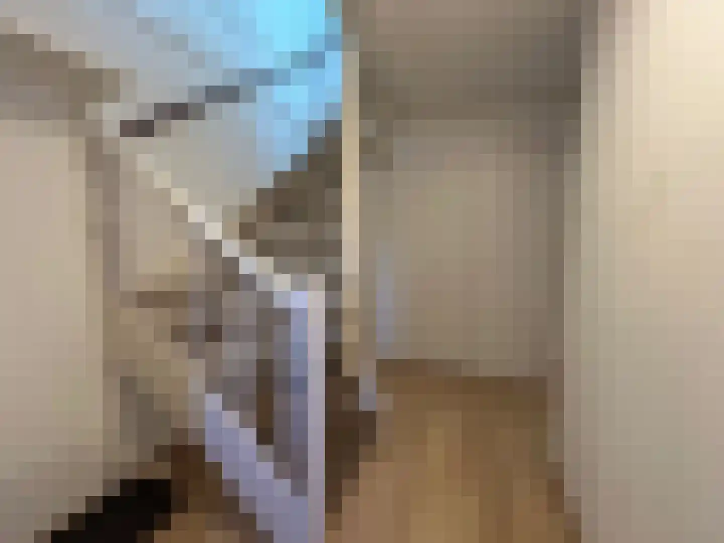 Pimpelmees 24 Emmen thumbnail 14