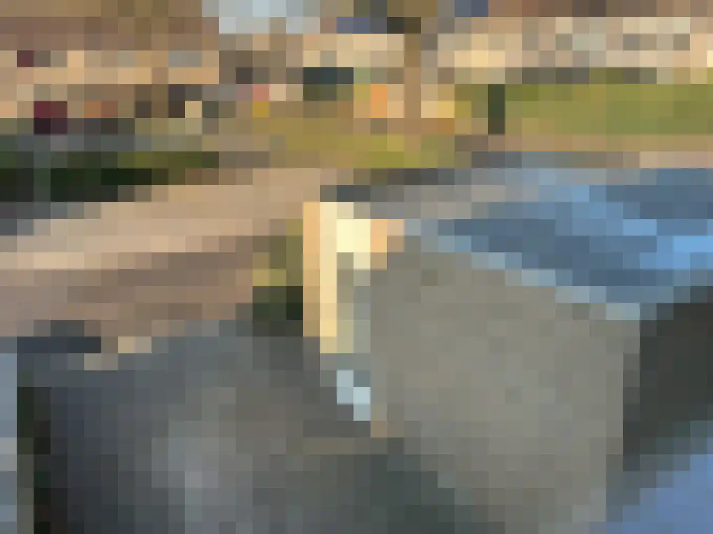Pimpelmees 24 Emmen thumbnail 19