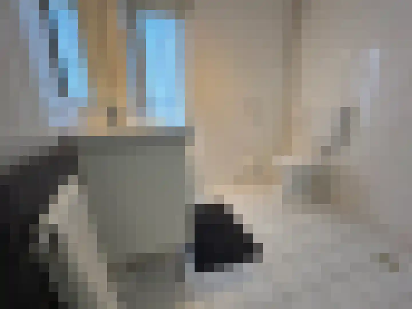 Pimpelmees 24 Emmen thumbnail 22
