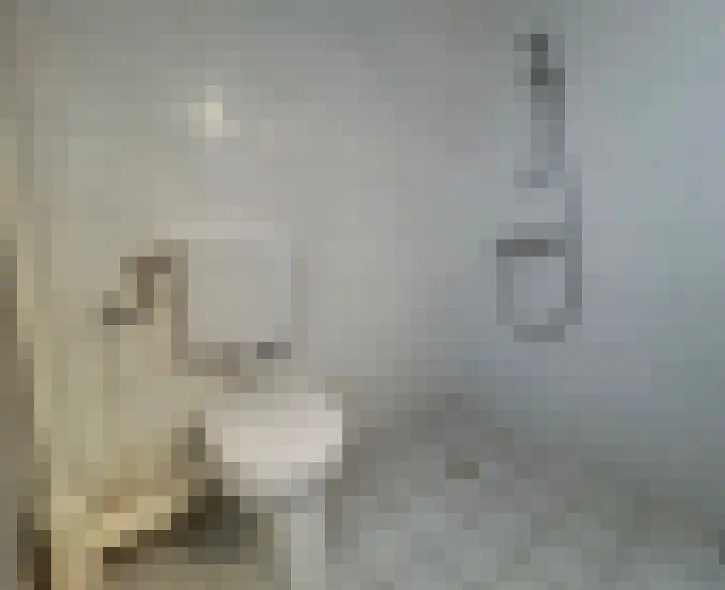 Pimpelmees 24 Emmen thumbnail 25