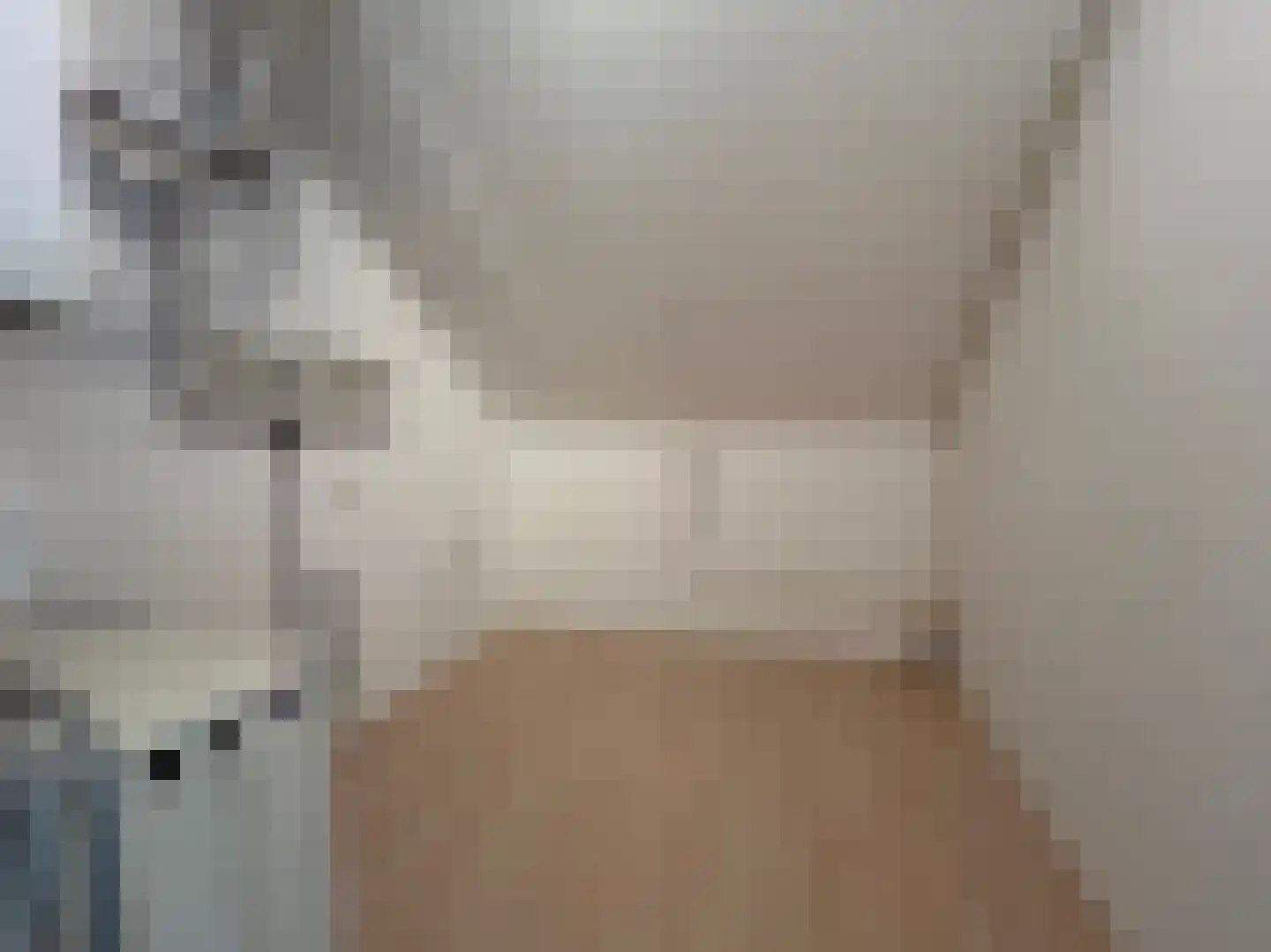 Pimpelmees 24 Emmen thumbnail 27